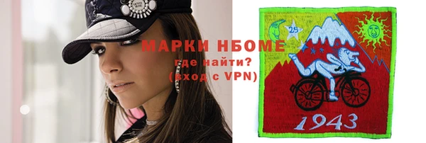 сатива Аркадак