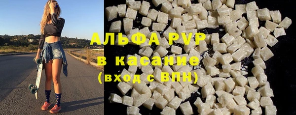 сатива Аркадак