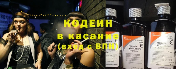 сатива Аркадак